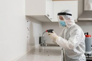مكافحة الصراصير في المنازل مكافحة الصراصير في المنازل
